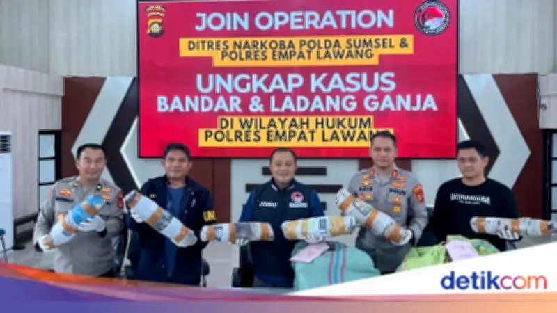 Polda Sumsel Bongkar Ladang Ganja 20 Hektare di Empat Lawang, Sita 220 Kg