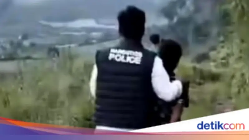 Polisi Karo Bongkar Ladang Ganja di Hutan Lindung, 75 Batang Diamankan