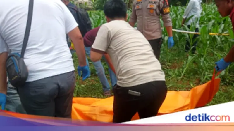 Polisi Ungkap Sambaran Petir di TKP Mayat Pria Kebun Jagung Bogor