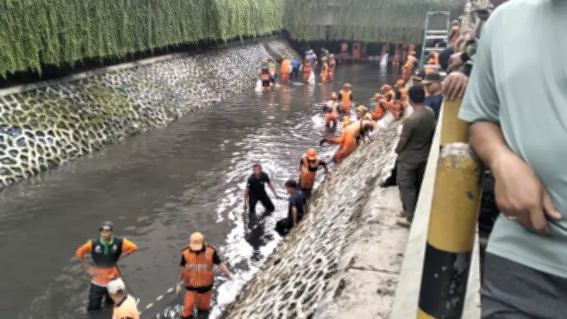 Populasi Ikan Sapu-Sapu Meledak, Jakpus Gelar Penangkapan Rutin Setiap Jumat