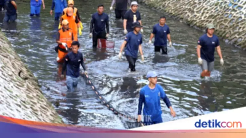 Pramono Anung Perluas Operasi Penangkapan Ikan Sapu-sapu di Seluruh Jakarta