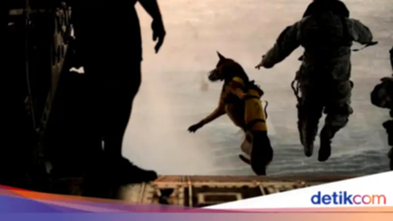 Profil Navy SEAL Team Six, Tim Elit AS yang Selamatkan Pilot dari Iran