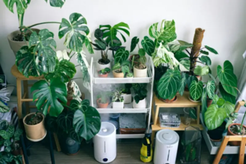 Rekomendasi Tanaman Hias Artifisial untuk Dekorasi Rumah