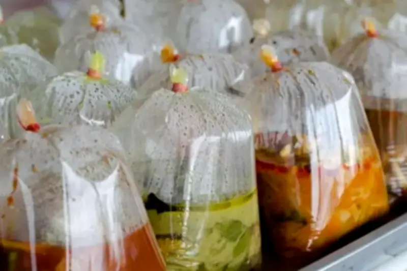 Risiko Sering Konsumsi Makanan Panas dalam Kemasan Plastik, Ini Kata Ahli