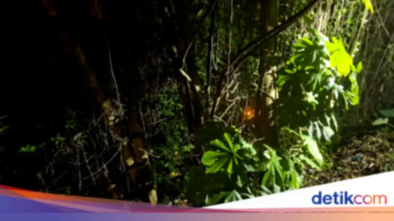 Saksi Ungkap Cekcok Sebelum Wanita Loncat ke Jurang di Bogor