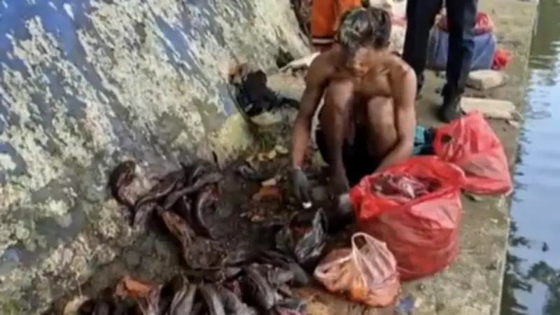 Satpol PP Sawah Besar Ungkap Penjualan Daging Ikan Sapu-sapu untuk Siomai