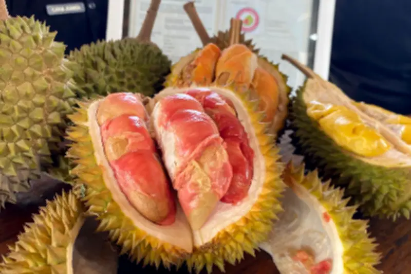 Srengege Wetan, Durian Banyuwangi yang Mencuri Perhatian Pecinta Kuliner