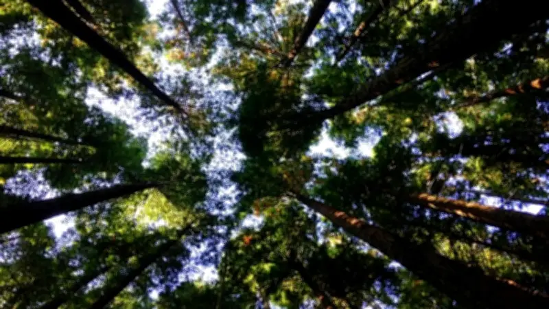 Transformasi Hijau SIG: Limbah Jadi Energi dan Reklamasi Lahan