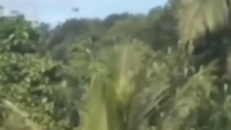 Video Viral Helikopter PK-CFX Terbang Rendah Sebelum Kecelakaan Maut di Sekadau