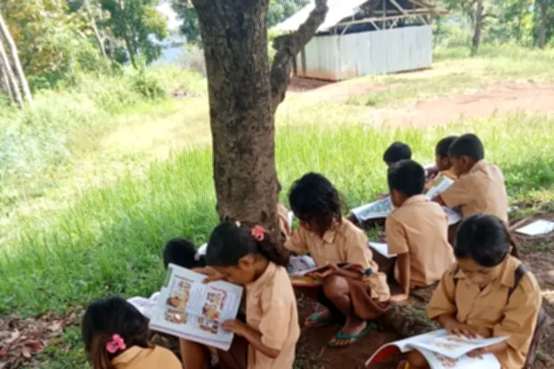 Viral Murid SDN Tando NTT Belajar di Bawah Pohon, Kemendikdasmen Prioritaskan Pembangunan
