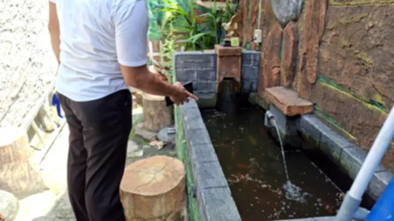 Warga Gandaria Utara Bangun Ketahanan Pangan di Gang Sempit Lewat Budidaya Ikan
