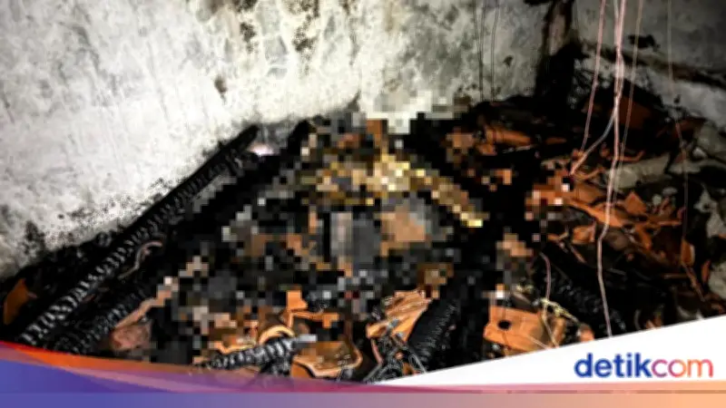 Warga Jerman 92 Tahun Tewas dalam Kebakaran Rumah di Pesisir Barat Lampung