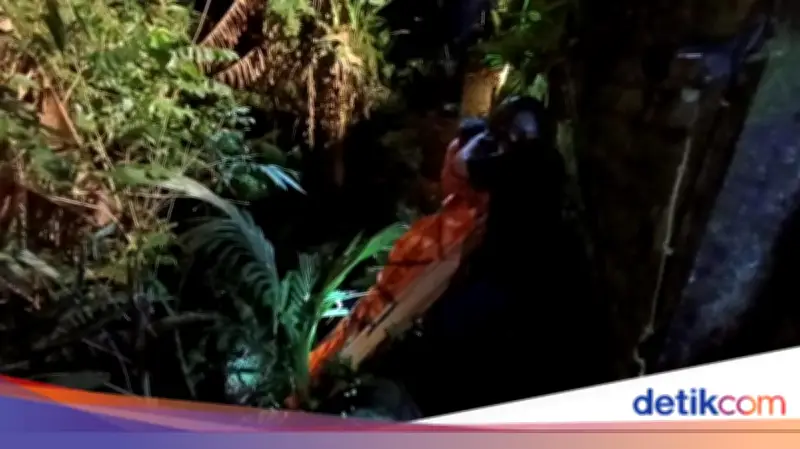 WN Swedia Tewas di Jurang Ubud, Diduga Sudah 3 Hari Meninggal