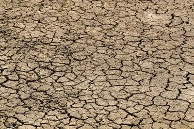 Ancaman Super El Nino Global, Mengapa Indonesia Dianggap Lebih Aman?