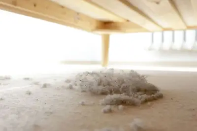 Cara Efektif Mengatasi Debu di Rumah Menurut Ahli Kebersihan