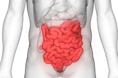 Durasi Feses di Usus Pengaruhi Mikrobioma dan Kesehatan Tubuh