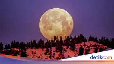 Fenomena Flower Moon di Mei 2026, Catat Waktu dan Tips Melihatnya