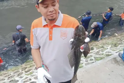 Ikan Sapu-Sapu di Jakarta Dilarang Dikonsumsi, Ini Alasan Ilmiahnya