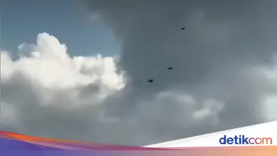 Kawanan Lebah Serbu Tol Bali Mandara, BKSDA Jelaskan Fenomena Swarming