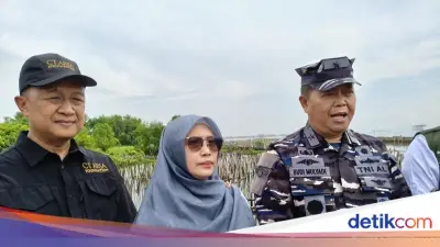 Koarmada RI Apresiasi CT Arsa Foundation Gelar Bersih-bersih dan Tanam Mangrove