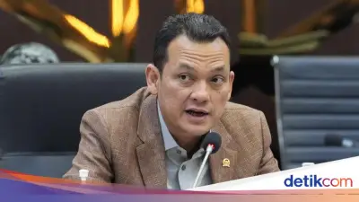 Martin Manurung Minta Pemerintah Jelaskan Status RUU Inisiatif DPR, Termasuk PPRT