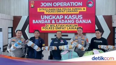 Polda Sumsel Bongkar Ladang Ganja 20 Hektare di Empat Lawang, Sita 220 Kg
