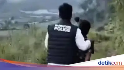 Polisi Karo Bongkar Ladang Ganja di Hutan Lindung, 75 Batang Diamankan