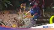Anak di Lahat Sumsel Mutilasi Ibu Kandung karena Tak Diberi Uang untuk Judi Slot