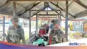 Anggota KKB Penembak Rombongan Tito Karnavian Tahun 2012 Ditangkap di Papua