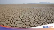 Apa Perbedaan Kemarau dan El Nino? Simak Penjelasan Lengkapnya