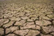 BPBD DKI Fokuskan Penanganan Air Bersih dan Mitigasi Hadapi Kemarau Panjang El Nino