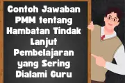 Contoh Jawaban PMM tentang Hambatan Tindak Lanjut Pembelajaran yang Sering Dihadapi