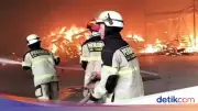 Gudang Makanan Kucing Terbakar di Tangerang, Kerugian Capai Rp 10 Miliar