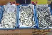 Ikan Asin Disebut Karsinogenik, Ini Fakta dan Penjelasannya
