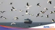 Iran dan Oman Akan Pungut Biaya Transit di Selat Hormuz Selama Gencatan Senjata