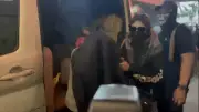 Istri dan Anak Bandar Narkoba Ko Erwin Ditangkap Bareskrim, Diborgol dan Tertunduk