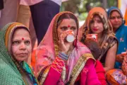 Kuil Gangotri India Wajibkan Pengunjung Minum Ramuan Urin Sapi Sebagai Uji Keyakinan