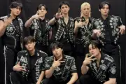 Nama Stray Kids Diabadikan pada Fosil Serangga Prasejarah