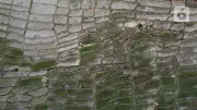 Pemprov NTB Dorong CSA Hadapi El Nino, Ini Penjelasannya