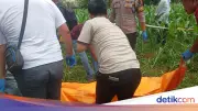 Polisi Ungkap Sambaran Petir di TKP Mayat Pria Kebun Jagung Bogor