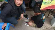Warga Matraman Tangkap Pengedar Sabu Saat Cari Ikan Sapu-Sapu di Got Kering