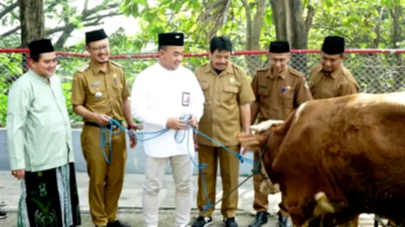 292 Hewan Kurban SIG Disebar di 19 Provinsi untuk Idul Adha 1447 H