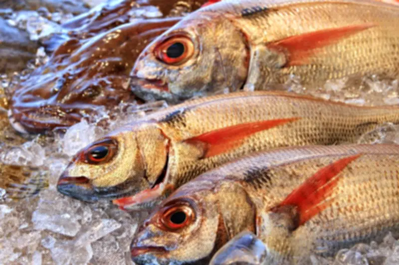 3 Cara Bersihkan Ikan Agar Tak Amis Tanpa Lemon, Pakai Bahan Dapur