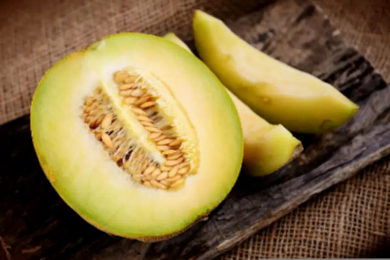 5 Manfaat Biji Melon untuk Kesehatan dan Cara Mengolahnya