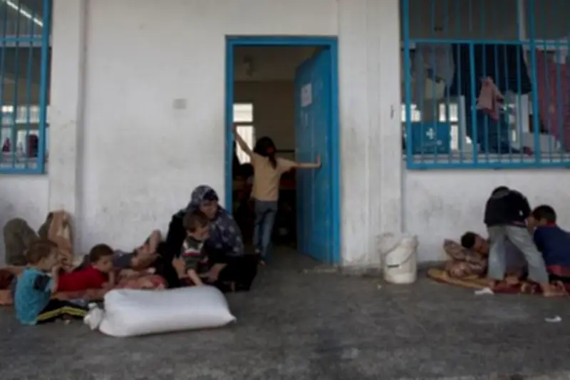 Ancaman Hama Menyebar di Kamp Pengungsi Gaza Akibat Sanitasi Buruk