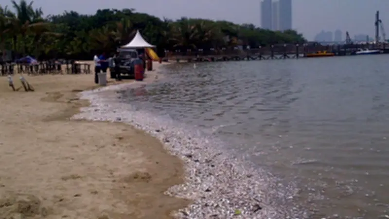Ancol Gratis Saat HUT ke-499 Jakarta, Catat Waktu dan Syaratnya