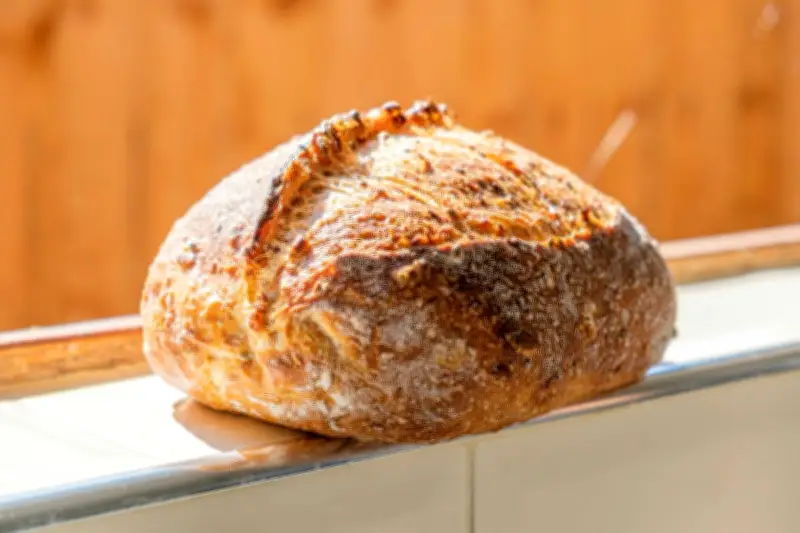 Apa Itu Sourdough? Roti Fermentasi Alami yang Kian Populer