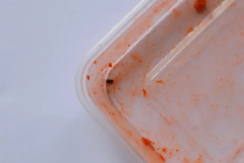 Cara Bersihkan Wadah Plastik Bekas Makanan Berlemak