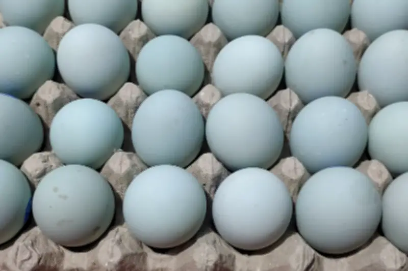 Cara Membuat Telur Asin Rumahan Tanpa Abu Gosok, Tetap Masir dan Gurih