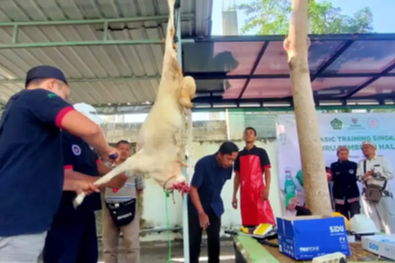 Cegah Iritasi Kulit saat Potong Hewan Kurban, Pakai Alat Pelindung Ini